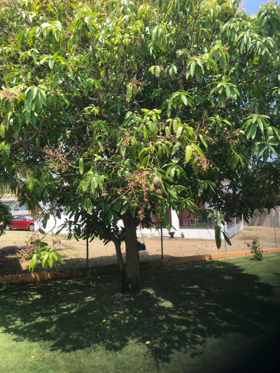 Quinta Villa Willemstad Dış mekan fotoğraf
